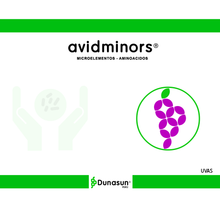 AVIDMINORS	(Aminoácidos libres (*)  5% (p/p) Hierro (Fe) soluble en agua  3% (p/p) Zinc (Zn) soluble en agua 1% (p/p) Manganeso (Mn) soluble en agua 1% (p/p) otros…)