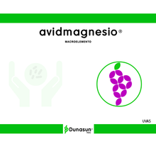 AVIDMAGNESIO	Magnesio (MgO)  10% (p/p)