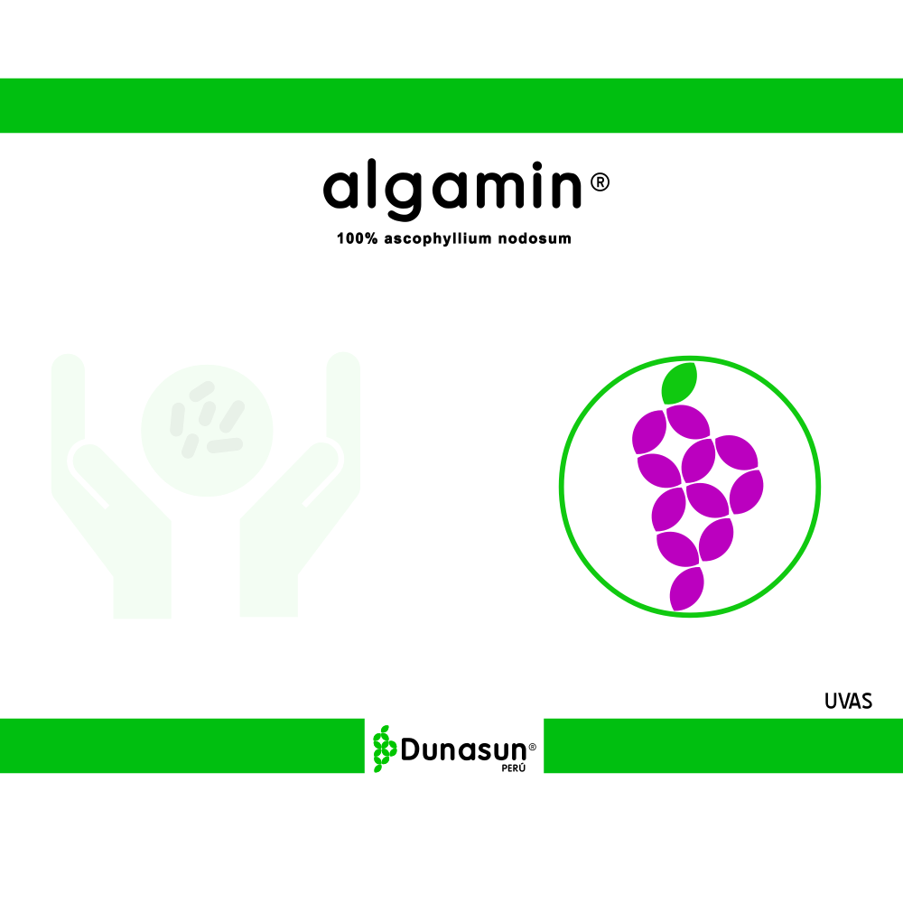 Algamin ALGAMIN (100% el extracto de algas (ascophyllum nodosum)) – DUNASUN S.A.C