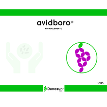 AVIDBORO	(Boro (B) soluble en agua  8,0% (p/p))