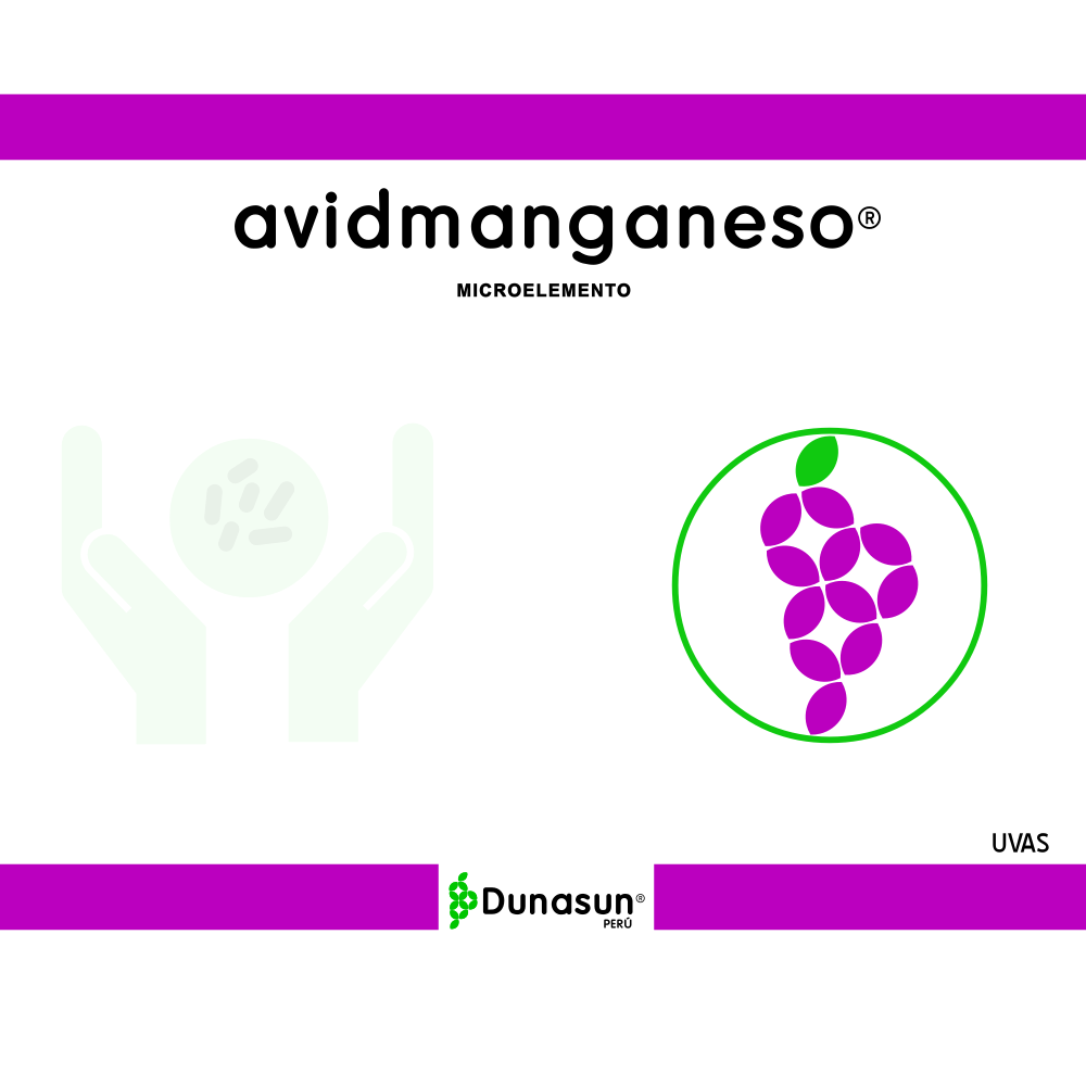 AVIDMANGANESO	(Manganeso (Mn) soluble en agua 8% (p/p))