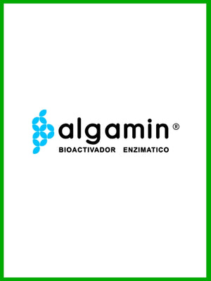 algamin