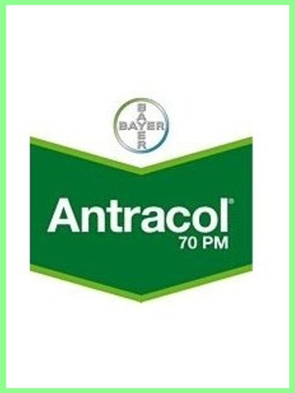 antracol 70 pm