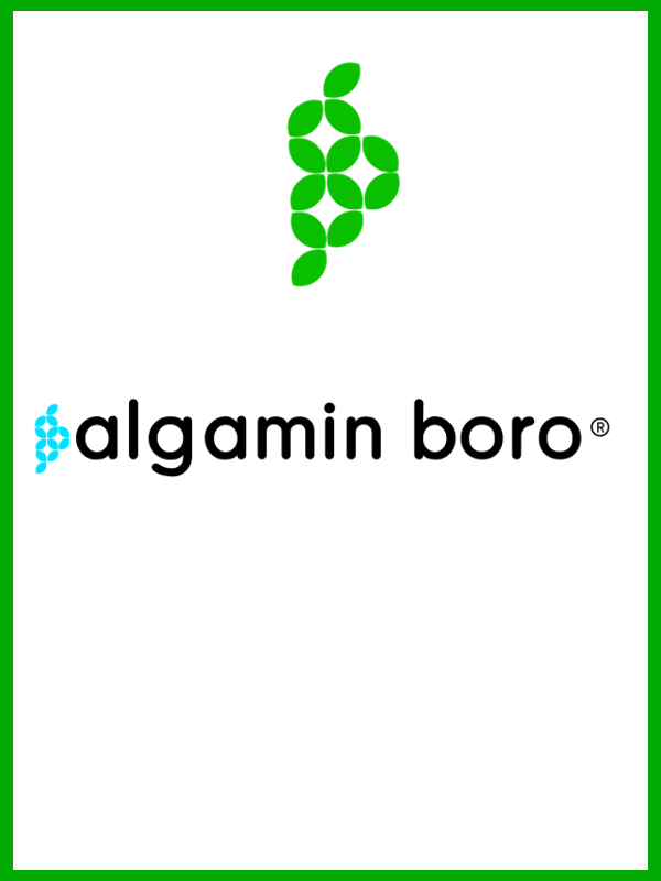 algamin boro