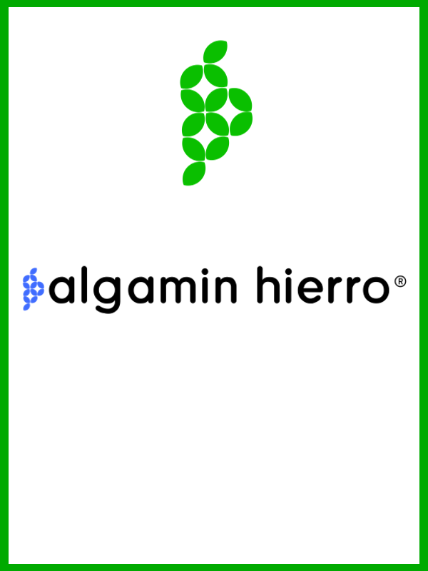 algamin hierro