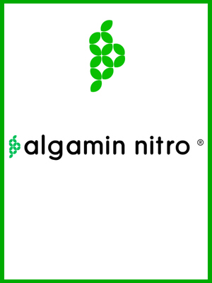 algamin nitro
